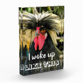 Funny Bad Hair Chicken Meme Fotoblokken (Links)