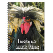 Funny Bad Hair Chicken Photo Meme Notitieboek (Voorkant)