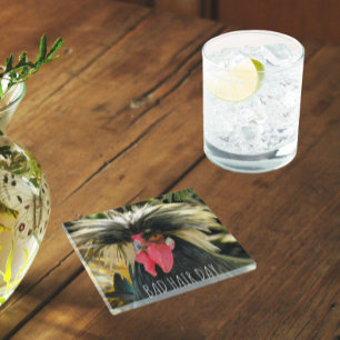 Funny Bad Hair Day Chicken Meme Glazen Onderzetter