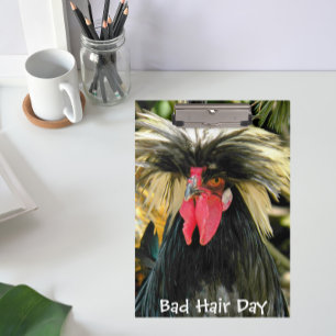 Funny Bad Hair Day Chicken Meme Klembord