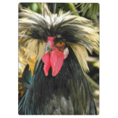 Funny Bad Hair Day Chicken Meme Klembord (Achterkant)