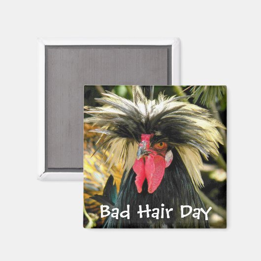Funny Bad Hair Day Chicken Meme Magneet (Voorkant / Achterkant)