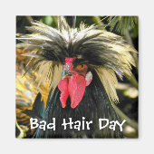 Funny Bad Hair Day Chicken Meme Magneet (Voorkant)
