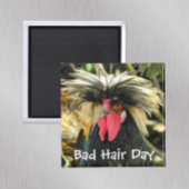 Funny Bad Hair Day Chicken Meme Magneet