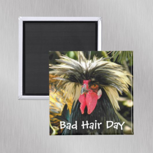 Funny Bad Hair Day Chicken Meme Magneet