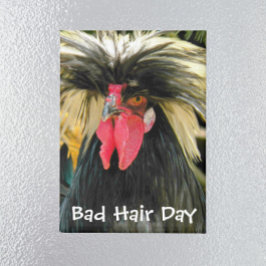 Funny Bad Hair Day Chicken Meme Magneet