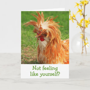 Funny Barnyard Chicken Get well Kaart