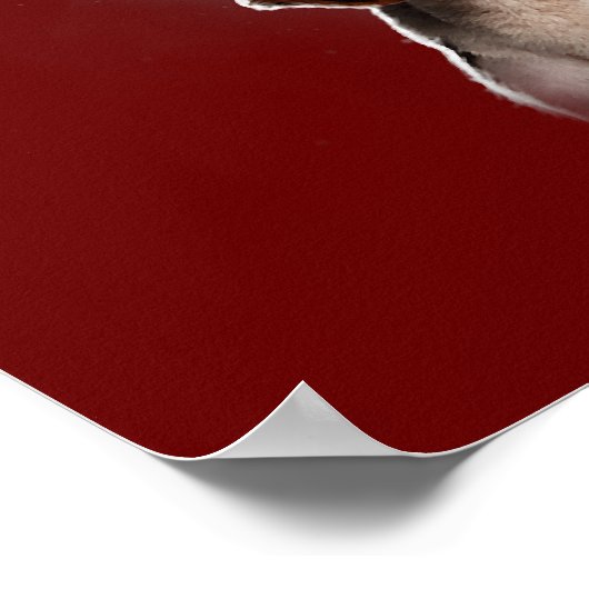 Funny Beagle Dog/Beagle Howling bij Moon Poster (Hoek)