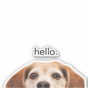 Funny Beagle Dog Half Face Hallo Sticker
