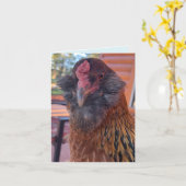 Funny Bearded Chicken Head Close-Up  Kaart (Gele Bloem)