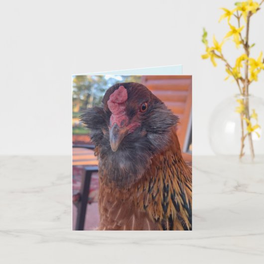 Funny Bearded Chicken Head Close-Up  Kaart (Gele Bloem)