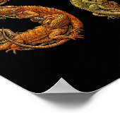 Funny Bearded Dragon 6 7 Meme Six Seven Beardzilla Poster (Hoek)