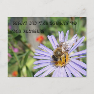 Funny Bee Briefkaart