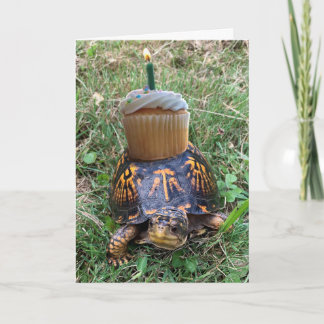 Funny Belated Birthday Card Kaart