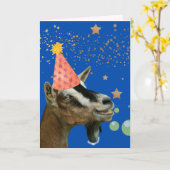 Funny Belated Birthday met partijgeit Kaart (Gele Bloem)