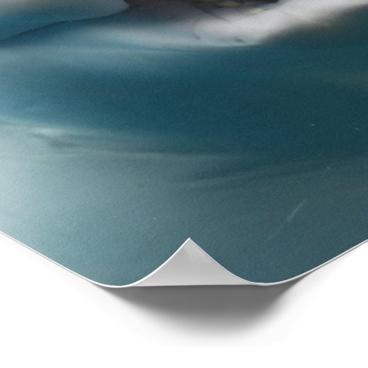 Funny Beluga Whale Poster (Hoek)