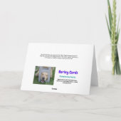 Funny Bernese Mountain Dog met Big Nose Birthday Kaart (Achterkant)