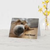 Funny Bernese Mountain Dog met Big Nose Birthday Kaart (Gele Bloem)