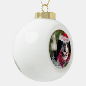 Funny Bernese Mountain Dog naughty Santa Ornament (Links)