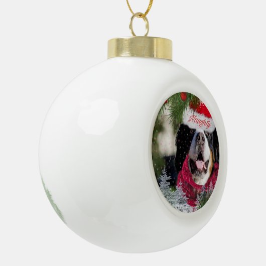 Funny Bernese Mountain Dog naughty Santa Ornament (Links)