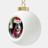 Funny Bernese Mountain Dog naughty Santa Ornament (Rechts)