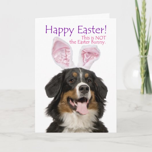 Funny Bernese Mt. Dog Easter Kaart (Voorkant)