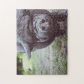 Funny Big Black Pig Posing for Camera Legpuzzel (Verticaal)