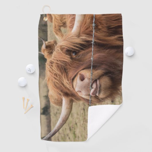Funny big hiry Scottish Highland Golfhanddoek (Insitu)