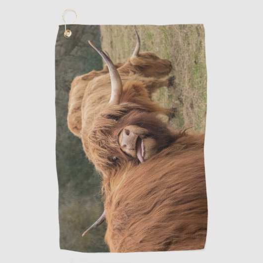 Funny big hiry Scottish Highland Golfhanddoek (Voorkant)