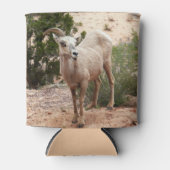 Funny Bighorn Sheep in Zion National Park Blikjeskoeler (Voorkant)