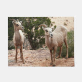 Funny Bighorn Sheep in Zion National Park Deurmat (Voorkant)