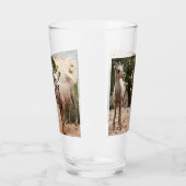 Funny Bighorn Sheep in Zion National Park Glas (Links)