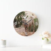 Funny Bighorn Sheep in Zion National Park Grote Klok (Huis)