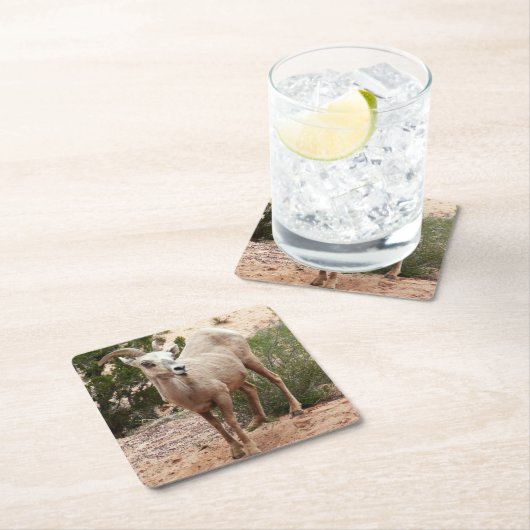 Funny Bighorn Sheep in Zion National Park Kartonnen Onderzetters (Insitu)