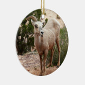 Funny Bighorn Sheep in Zion National Park Keramisch Ornament (Rechts)