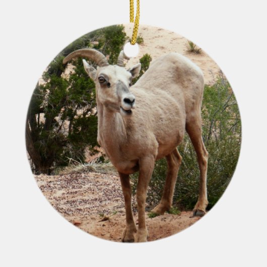 Funny Bighorn Sheep in Zion National Park Keramisch Ornament (Voorkant)