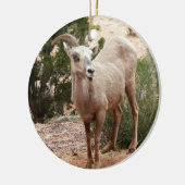Funny Bighorn Sheep in Zion National Park Keramisch Ornament (Links)