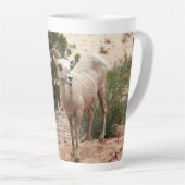Funny Bighorn Sheep in Zion National Park Latte Mok (Rechterhoek)