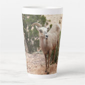 Funny Bighorn Sheep in Zion National Park Latte Mok (Voorkant)