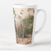 Funny Bighorn Sheep in Zion National Park Latte Mok (Rechts)