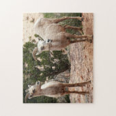 Funny Bighorn Sheep in Zion National Park Legpuzzel (Verticaal)