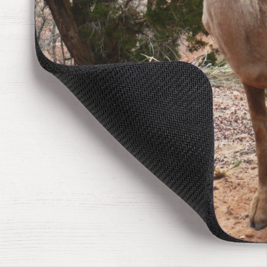 Funny Bighorn Sheep in Zion National Park Muismat (Hoek)