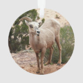 Funny Bighorn Sheep in Zion National Park Ornament (achterkant)