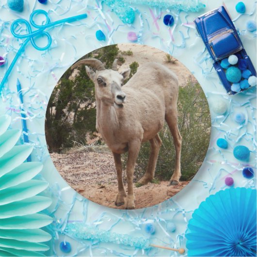 Funny Bighorn Sheep in Zion National Park Papieren Bordje (Feest)