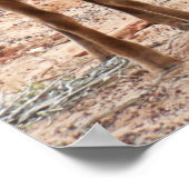 Funny Bighorn Sheep in Zion National Park Poster (Hoek)