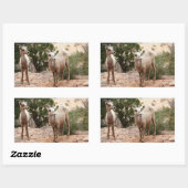 Funny Bighorn Sheep in Zion National Park Rechthoekige Sticker (Vel)