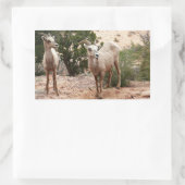Funny Bighorn Sheep in Zion National Park Rechthoekige Sticker (Tas)