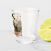 Funny Bighorn Sheep in Zion National Park Shot Glas (Rechts)