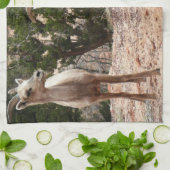 Funny Bighorn Sheep in Zion National Park Theedoek (Gevouwen)