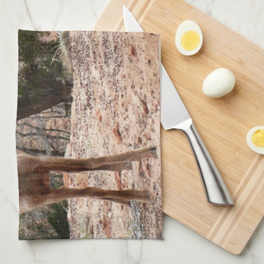 Funny Bighorn Sheep in Zion National Park Theedoek (Quarter Fold)